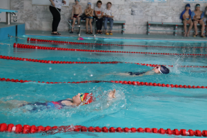 Соревнования по плаванию «Финал Года»